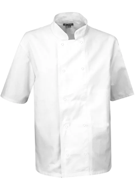 Veste de cuisinier manches courtes MERLU blanche en taille XS S M L XL XXL XXXL