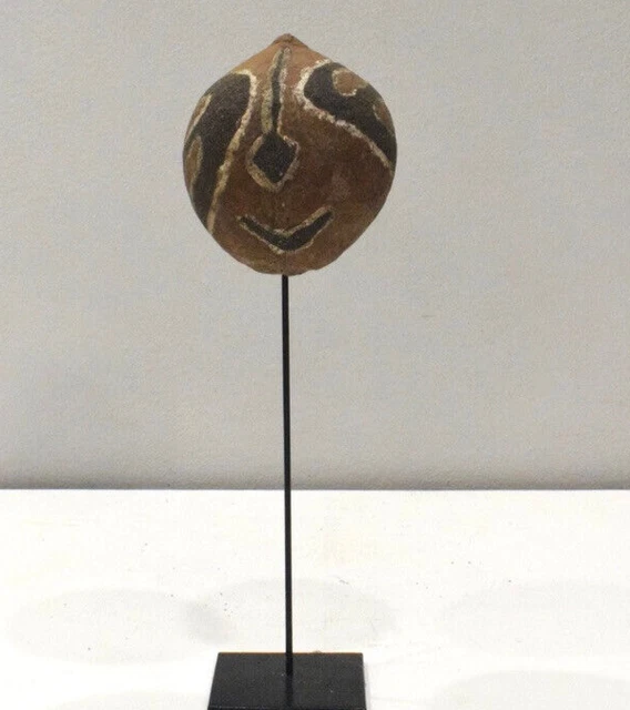 Papua New Guinea Coconut Healing Marupai Papuan Gulf