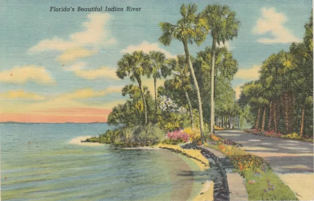 Beautiful Indian River-Florida-Fl