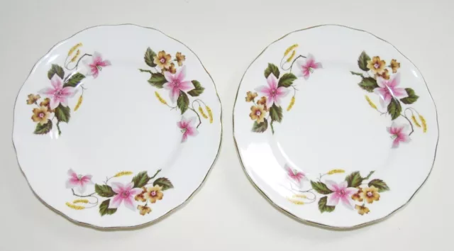 2 Vintage Crown Staffordshire WINDERMERE Tee Seitenteller 61⁄4 Zoll Knochen Porzellan 1930er-50er Jahre