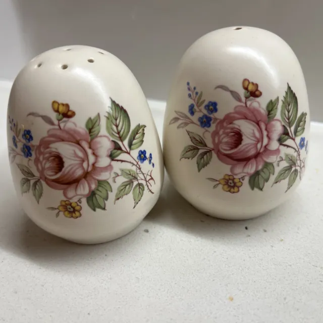 Vintage Axe Vale Pottery Salt & Pepper Shakers With Stand. Spring Floral Design 3