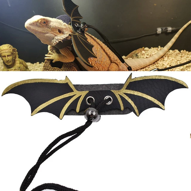 4Pcs Reptile Lizard Gecko Bearded Dragon Harness And Leash Adjustable Strap Nm