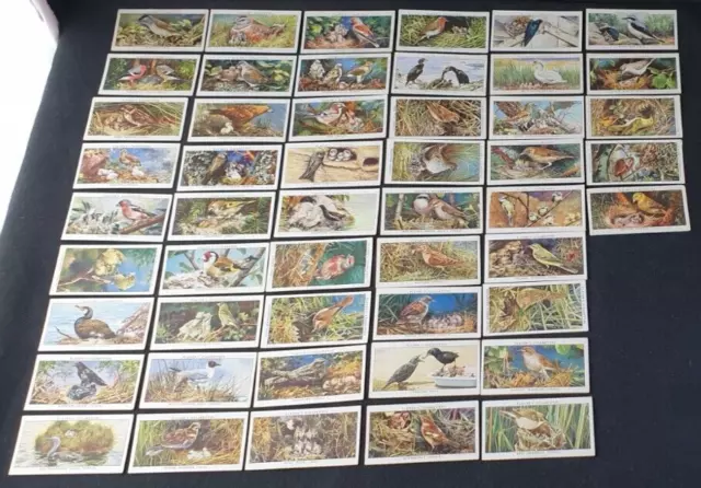Player's Cigarette Cards Complete Set Birds And Their Young