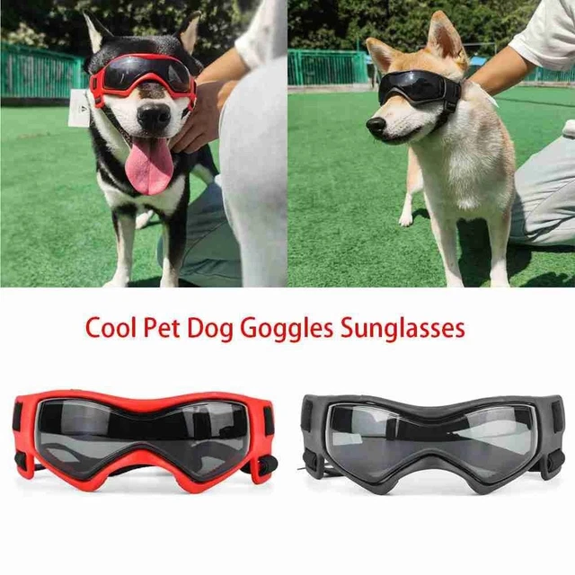 Suministros Reflectante Desgaste para ojos Gafas para perro Gafas de sol Mascotas Esmaltes de perlas