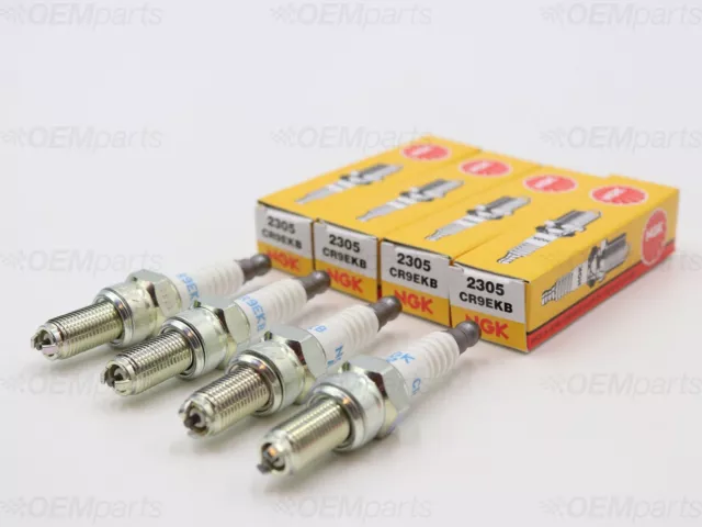 Set of (4) NGK Spark Plug APRILIA TUONO 1000 (2011-2014)