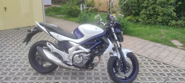 motorrad Suzuki Glaudius 650