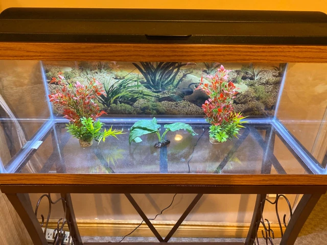 20 Gallon Long Fish Tank/Scroll Metal Stand& Lid Hood With Led Light& Filter/etc