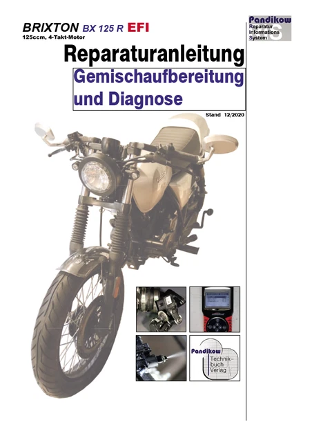 Pandikow Buch RIS Reparaturanleitung, Aprilia RS 125 EFI, 4T