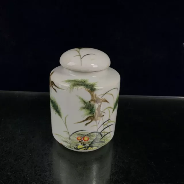 Exquisite Old Chinese porcelain color Hand Painted flowers bird jar pots 6059