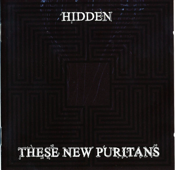 These New Puritans - Hidden (CD, Album)