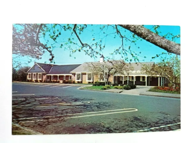 Vintage Postcard Delicious Orchards Colts Neck NJ Monmouth County