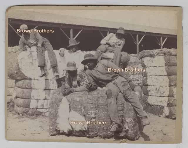 1900s African American Share Croppers Wait to Load Cotton Bales Mounted Photo 1900s African American Share Croppers Wait to Load Cotton Bales Mounted Photo