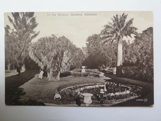 PHOTO POSTCARD IN THE BOTANIC GARDENS ADELAIDE SOUTH AUSTRALIA c1910s