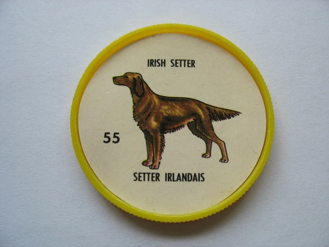 Dog Coin - Irish Setter