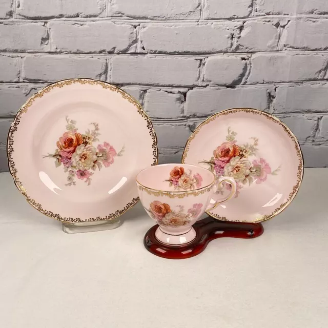 Royal Tuscan Teacup Saucer Plate Trio Pale Pink Wild Roses Gold Trim England