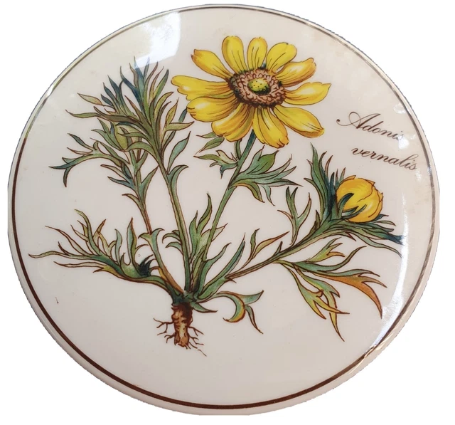 Villeroy et boch botanica