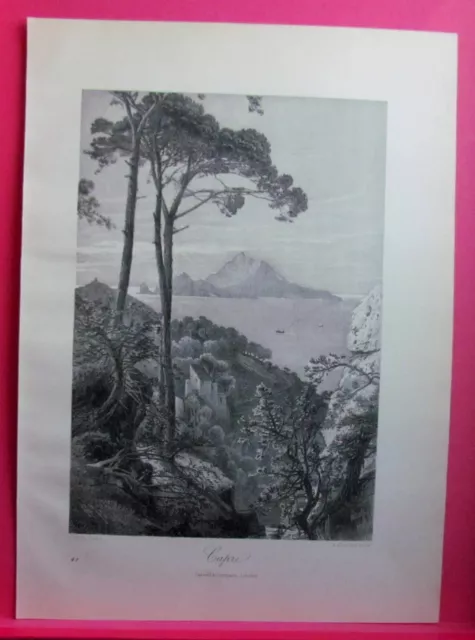 PICTURESQUE EUROPE WOODCUT - Capri