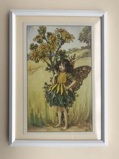 Flower Fairies framed print - 'The Ragwort Fairy' - Cicely Mary Barker 1925