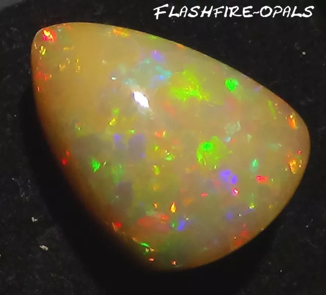 17,8 Carat ! Brillant Dark Gemme Welo Opale Rot-Gold-Grün Video Flashfire-Opals