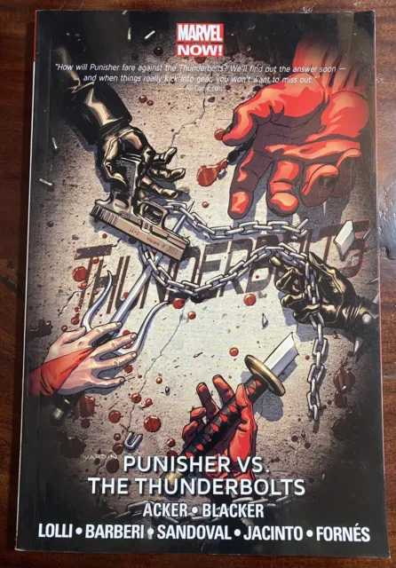 Marvel -  Punisher vs The Thunderbolts - Trade Paperback - 2014 - Free Shipping