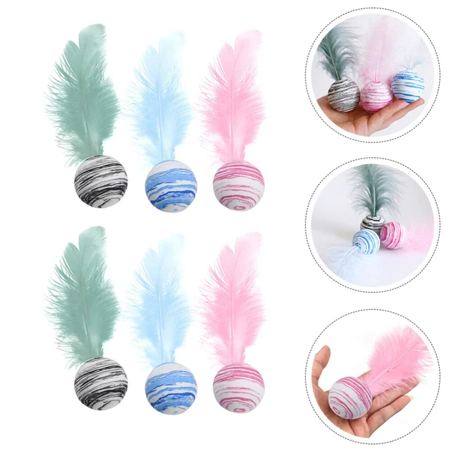 6 Pcs Teaser De Chat Compagnie Jouets Dentition Pour D'intérieur Taquin