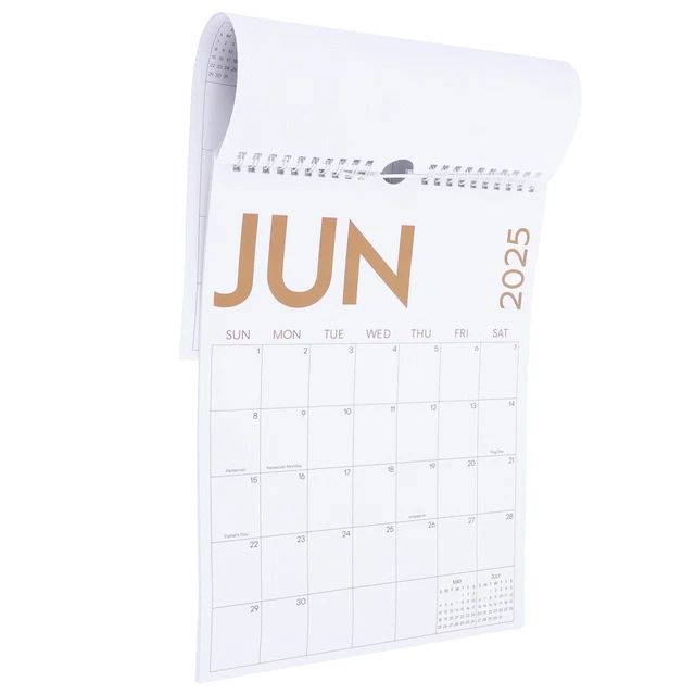 2025 WALL CALENDAR Jan 2025 Dec 2025 12 Months Hanging Wall 2025 WALL CALENDAR Jan 2025 Dec 2025 12 Months Hanging Wall