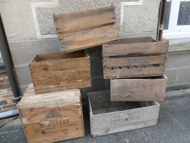 Lot de 6 caisses bois Chicorée RAVERDY + Vins de VOUVRAY + MERKENS + CANADA etc