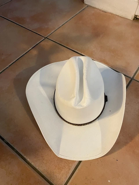 Cowboy/Cowgirl Hat