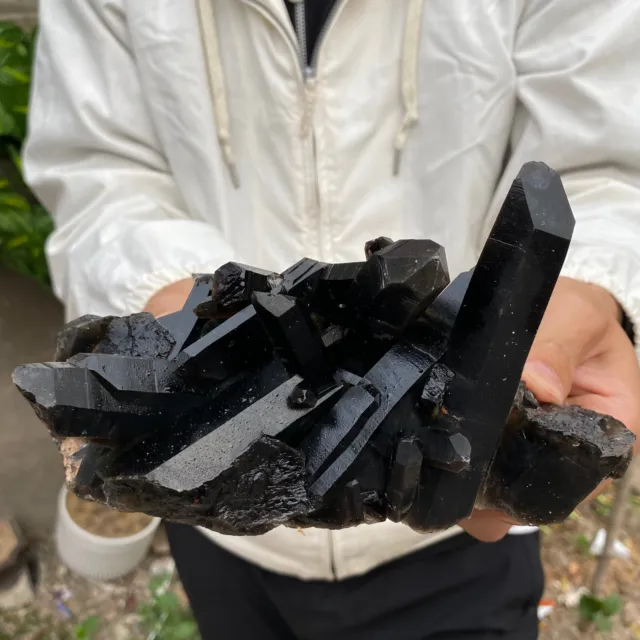 3lb Large Natural  Smoky Black Quartz Crystal Cluster Raw Mineral Specimen