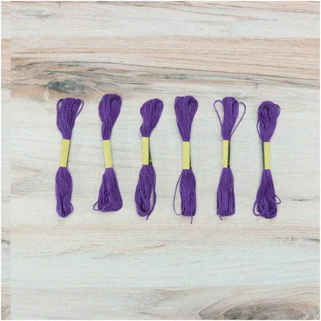 Purple Passion Embroidery Floss Pack - 6 Skeins, 8.7 Yards Each - Vibrant Thread