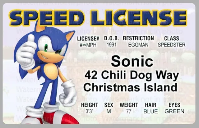 Sonic The Hedgehog Speed License Card Novelty ID