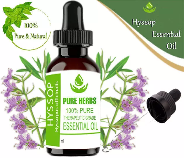 Pure Herbs Hysope 100% Naturel Hyssopus officinalis Huile