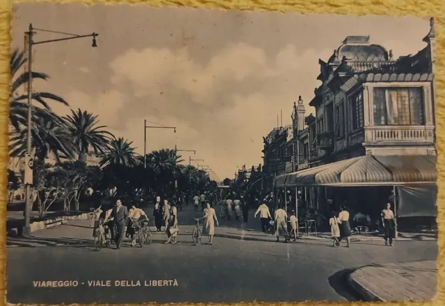 Viareggio Viale Della Liberta' Cartolina 1949