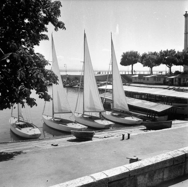 SUISSE c. 1955 - Bateaux Voiliers Port  Neuchâtel - Négatif 6 x 6 - Sui 201