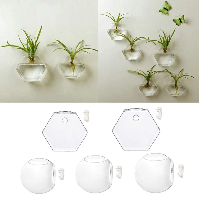 Wall Hanging   Flowers Planter  Terrarium Container