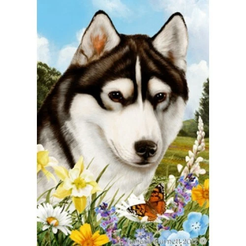 Summer Garden Flag - Brown-Eyed Black and White Siberian Husky 180381