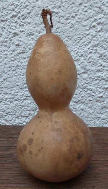 Calabaza Seca