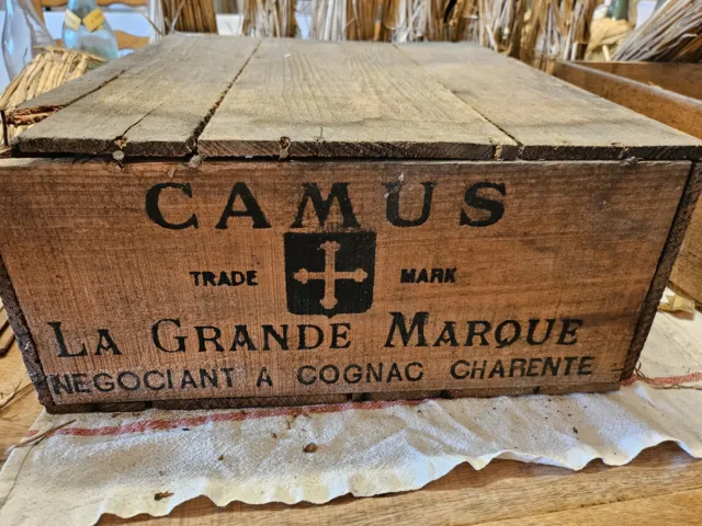 Caisse En Bois De Cognac  Camus La Grande Marque + 12 Bouteilles Vides Anciennes
