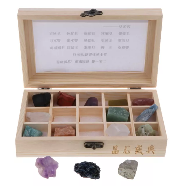 Geology Science Kit - 15Pcs  Rock and Mineral Tektite  Gift 3