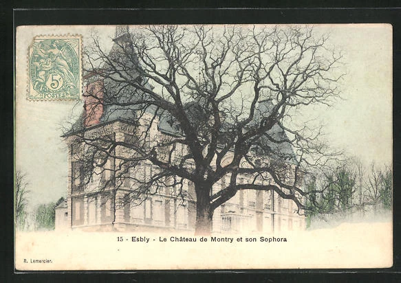 CPA Esbly, Montry Castle and Son Sophora