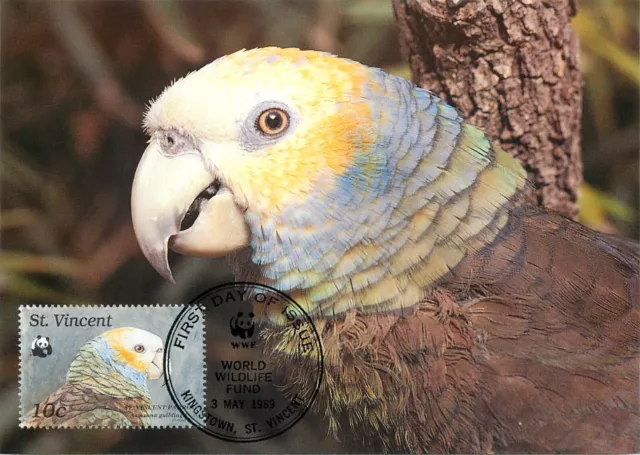 E0008 WWF Maximum Card 1989 Fauna Birds St. Vincent Parrot