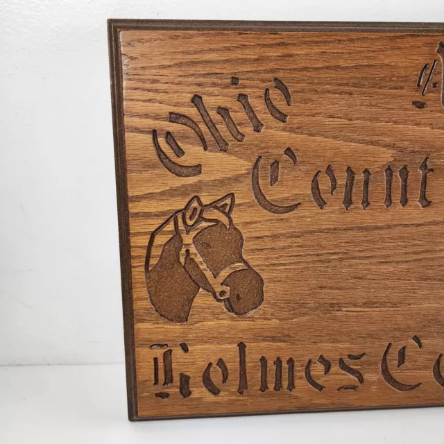 Amish Country Holmes County Ohio Horses Farmhouse Oak Wood Wall Hanging Handmade 2