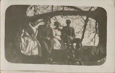 RPPC of Two Couples Sitting on a Huge Tree Branch Ladder 1910s Formal Dress Love