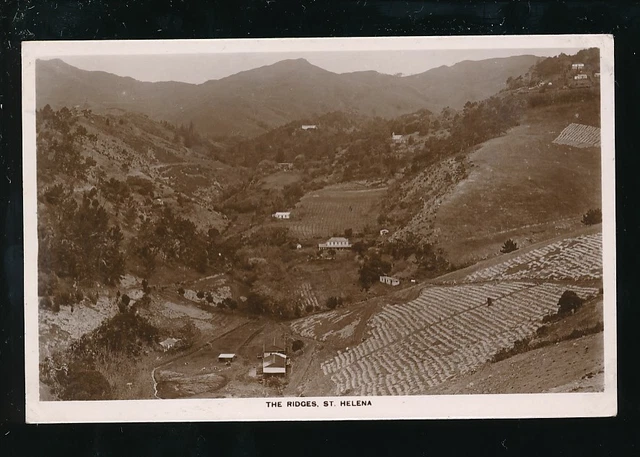 ST HELENA ISLAND The Ridges c1950/60s RP PPC EUR 11,41 - PicClick IT