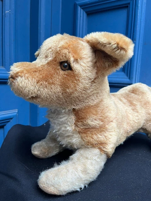 VINTAGE DEANS RAG Book Large Dog Glass Eyes £35.00 - PicClick UK