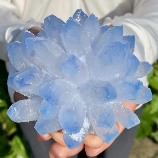 460G New Find BLUE Phantom Quartz Crystal Cluster Mineral Specimen Healing