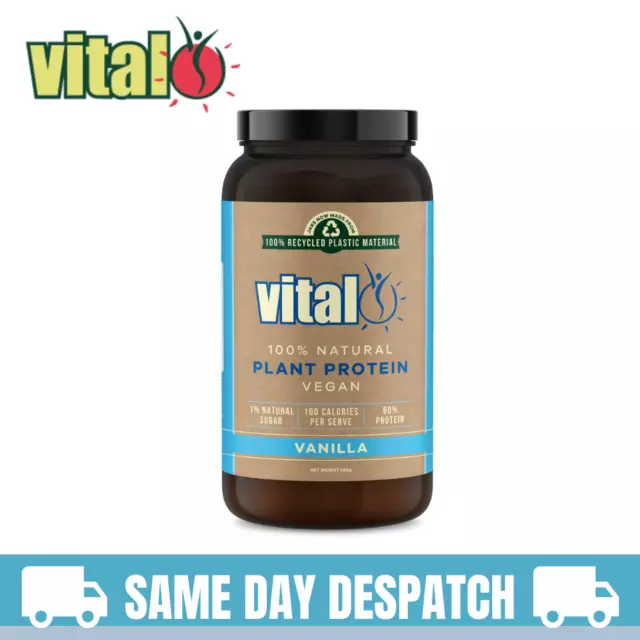 Vital Protein Vanilla 500G | Vegan, pea protein, gluten free, natural