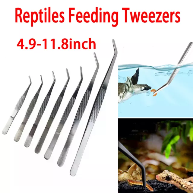 NEOREP Reptile Snake Lizard Insect Rodent Feedings Tongs Forcep Stainless  Steel