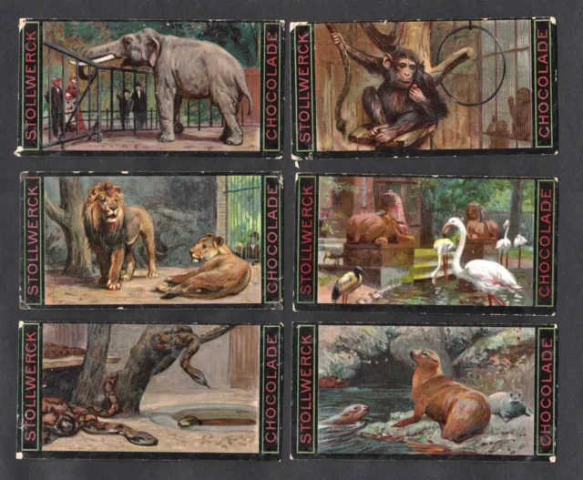 A Trip To Hamburg Zoo Ser 199 Stollwerck Card Set 1900 Animals Chimpanzee Lion