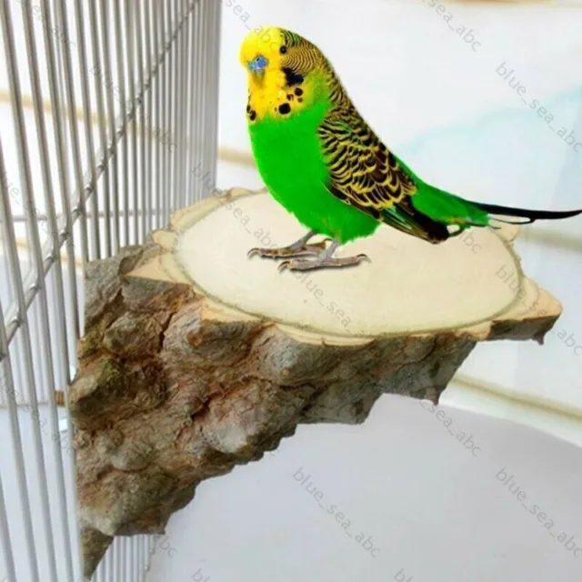 Holz Papagei Vogelständer Ast Haustier Wellensittich Spielzeug Sitzstangen DHL